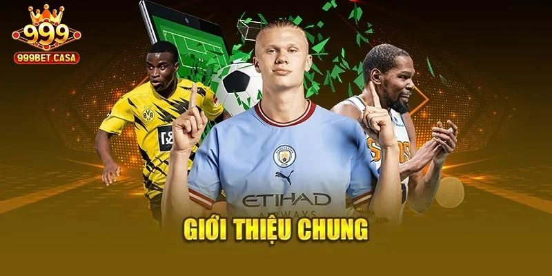 Sơ lược về BTI Thể Thao